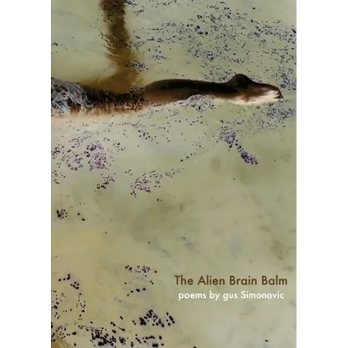 The Alien Brain Balm: words abducted from the spaceship - Paperback