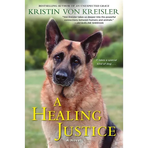 A Healing Justice - Paperback