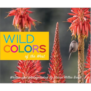 Wild Colors of the West - Board Book