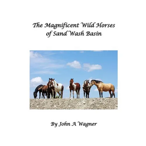 The Magnificent Wild Mustangs Of Sand Wash Basin - Paperback