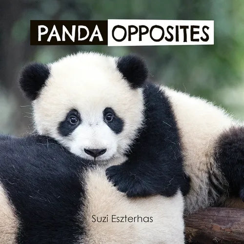 Panda Opposites - Hardcover