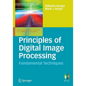 Principles of Digital Image Processing: Fundamental Techniques - Paperback