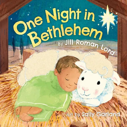 One Night in Bethlehem - Board Book