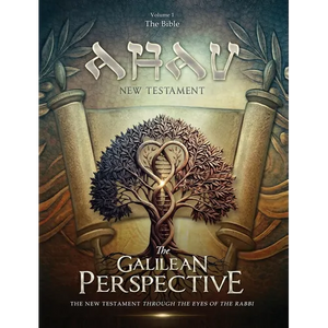 AHAV NEW TESTAMENT Volume 1: The Bible: The Bible - Hardcover