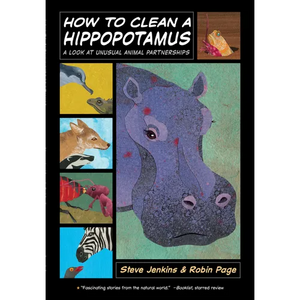 How to Clean a Hippopotamus: A Look at Unusual Animal Partnerships - Paperback