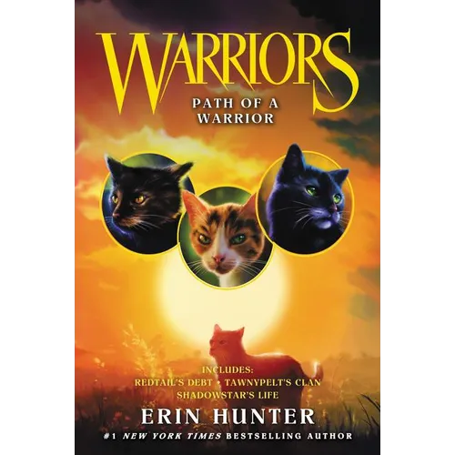 Path of a Warrior - Paperback