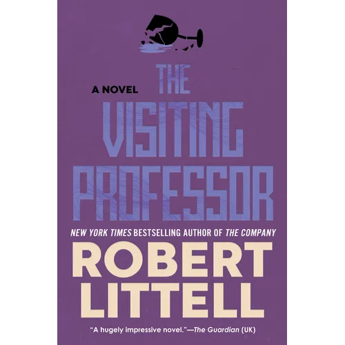 The Visiting Professor - Paperback