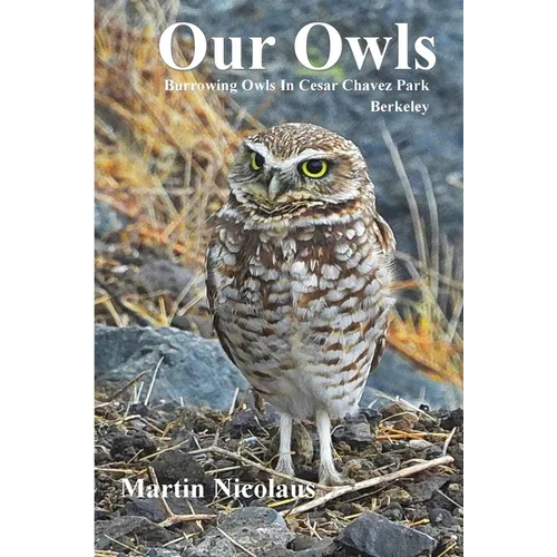 Our Owls: Burrowing Owls in Cesar Chavez Park, Berkeley - Paperback