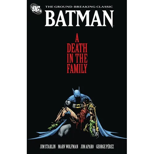 A Death in the Family - Paperback