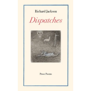 Dispatches - Paperback
