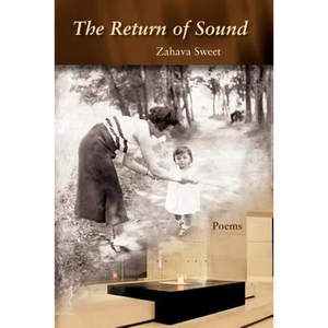 The Return of Sound - Paperback