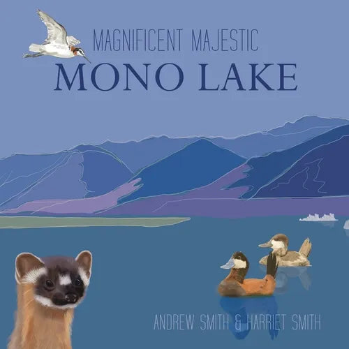 Magnificent Majestic Mono Lake - Paperback