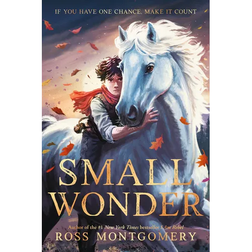 Small Wonder - Paperback