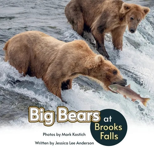 Big Bears at Brooks Falls - Paperback