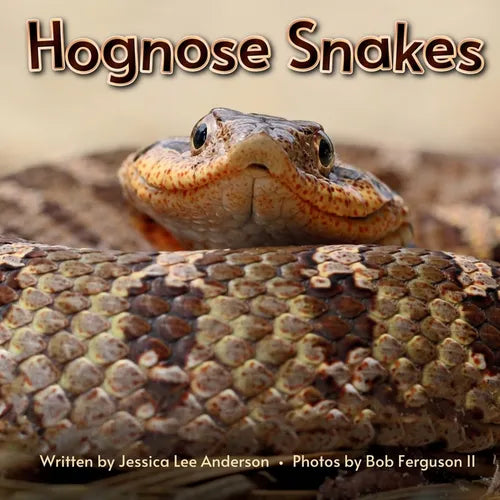 Hognose Snakes - Paperback