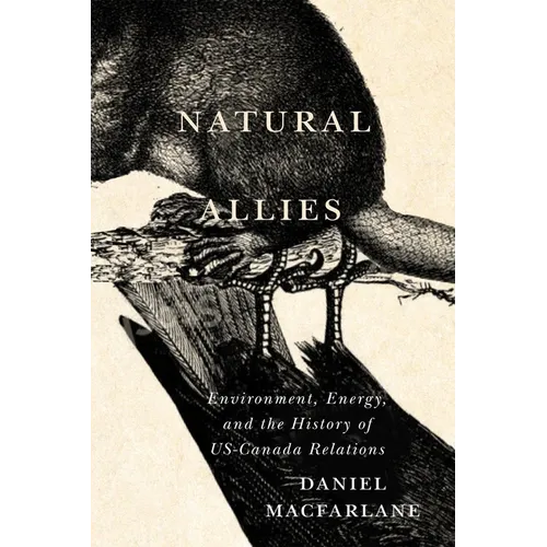 Natural Allies: Environment, Energy, and the History of Us-Canada Relations - Paperback