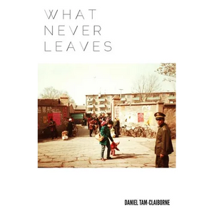 What Never Leaves - Paperback