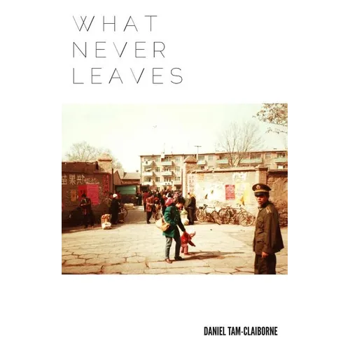 What Never Leaves - Paperback