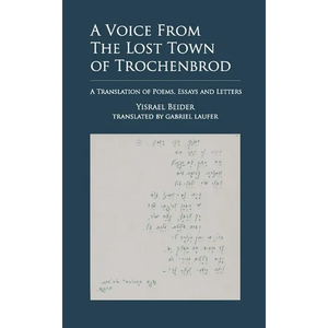 A Voice from the Lost Town of Trochenbrod: A Translation of Poems, Essays and Letters by Yisrael Beider - Paperback