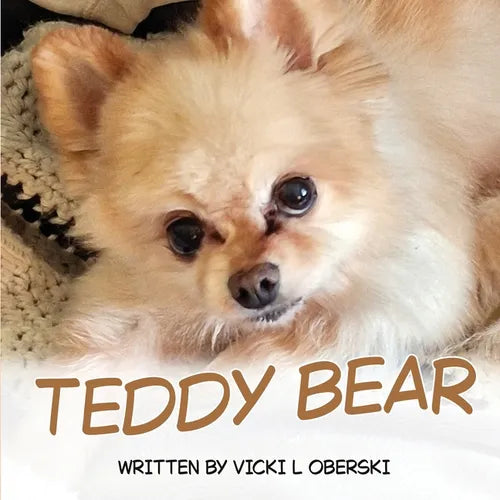 Teddy Bear - Paperback
