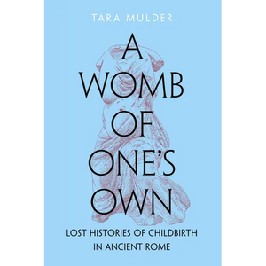 A Womb of One's Own: Lost Histories of Childbirth in Ancient Rome - Hardcover