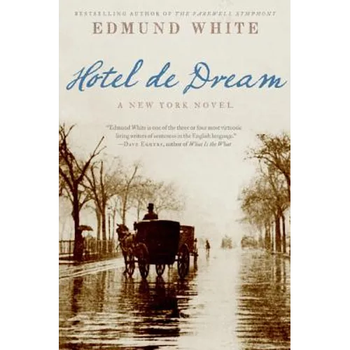 Hotel de Dream: A New York Novel - Paperback