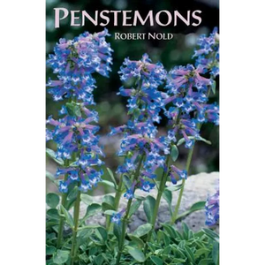 Penstemons - Paperback