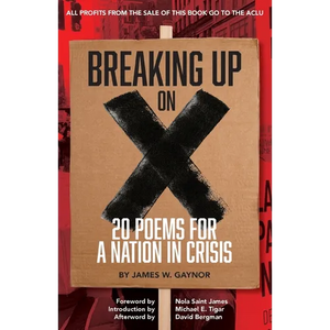 Breaking Up on X: 20 Poems for a Nation in Crisis - Paperback