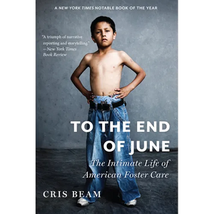 To the End of June: The Intimate Life of American Foster Care - Paperback