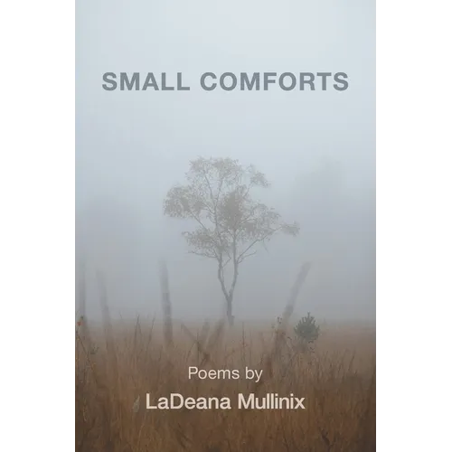 Small Comforts - Paperback