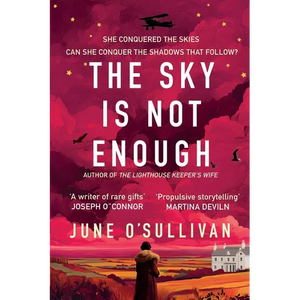The Sky is Not Enough: A Heart-Stirring Journey of Dreams, Danger, and Destiny - Paperback