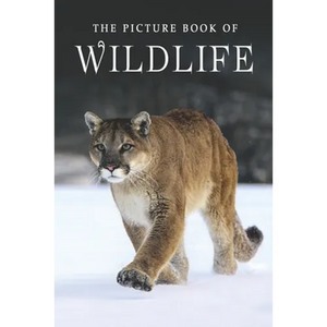 The Picture Book of Wildlife: A Gift Book for Alzheimer's Patients and Seniors with Dementia - Paperback