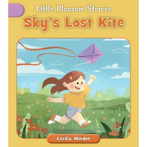 Sky's Lost Kite - Paperback