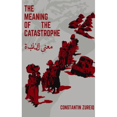 The Meaning of the Disaster - Constantin Zureiq - Paperback