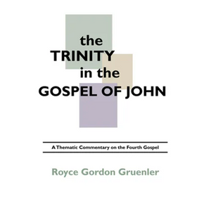 The Trinity in the Gospel of John - Paperback