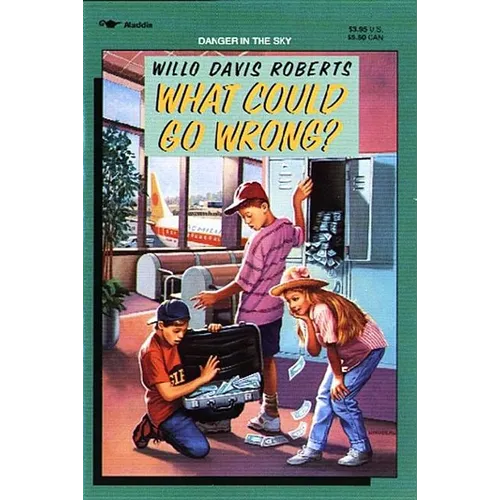 What Could Go Wrong? - Paperback