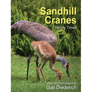 Sandhill Cranes, Family Times - Hardcover