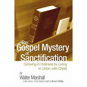 The Gospel Mystery of Sanctification - Paperback