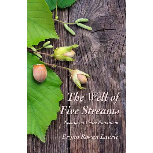 The Well of Five Streams - Paperback