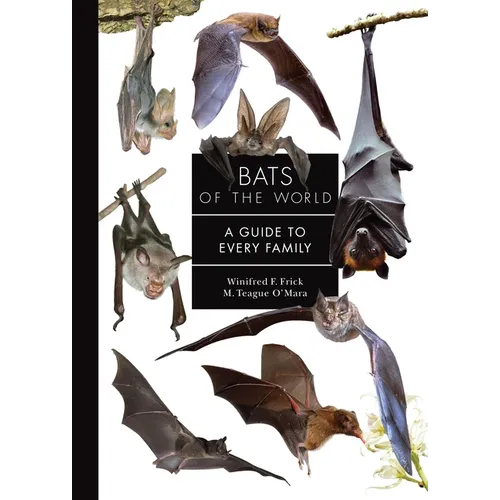Bats of the World: A Guide to Every Family - Hardcover