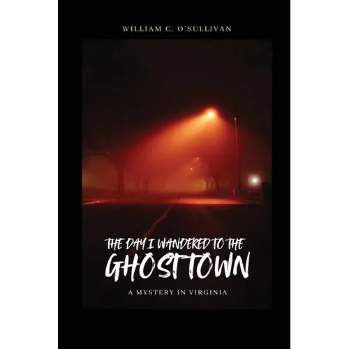 The Day I Wandered to the Ghost Town - Paperback