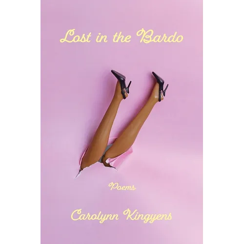 Lost in the Bardo - Paperback