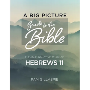 A Big Picture Guide to the Bible: A Flexible Inductive Study of Hebrews 11 - Paperback