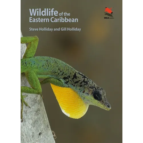 Wildlife of the Eastern Caribbean - Paperback