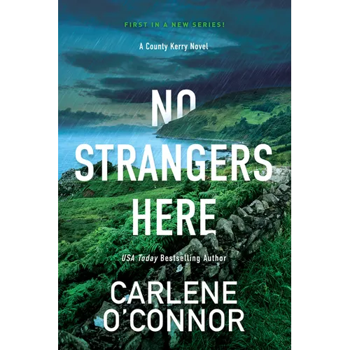 No Strangers Here: A Riveting Irish Thriller - Paperback