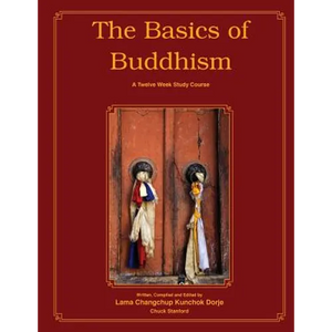 The Basics of Buddhism - Paperback