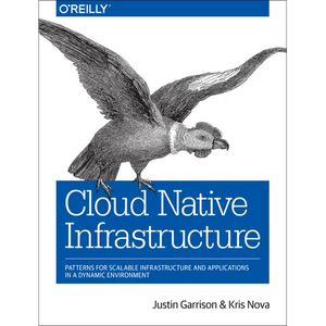 Cloud Native Infrastructure: Patterns for Scalable Infrastructure and Applications in a Dynamic Environment - Paperback