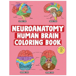 Neuroanatomy Human Brain Coloring Book: Neuroscience Coloring Book with MCQs ( Multiple Choice Questions) A Gift for Medical School Students, Nurses, - Paperback