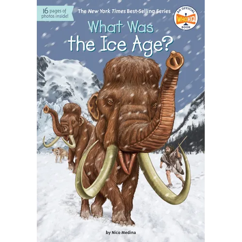 What Was the Ice Age? - Paperback
