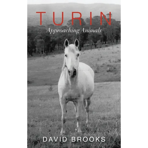 Turin: Approaching Animals - Paperback
